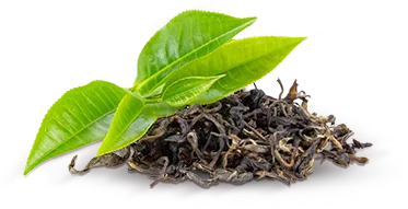 about-02-tea-leaf