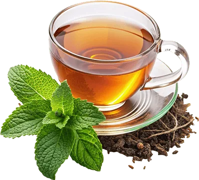 tea-cup-02